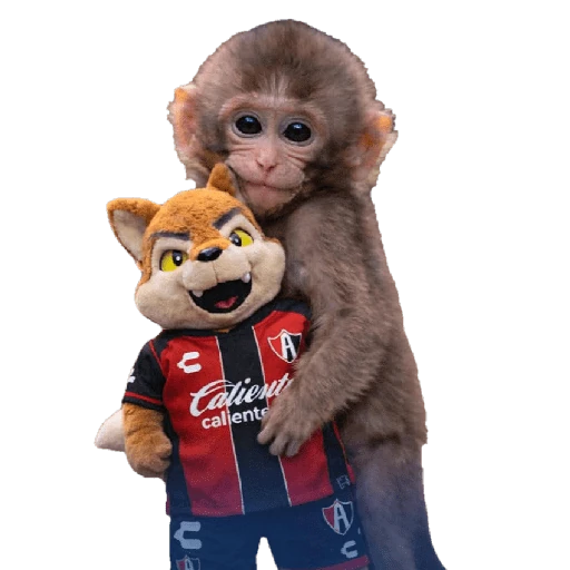 Punch Liga MX