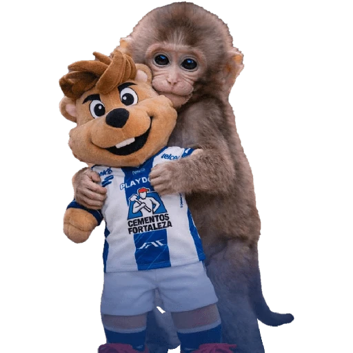 Punch Liga MX