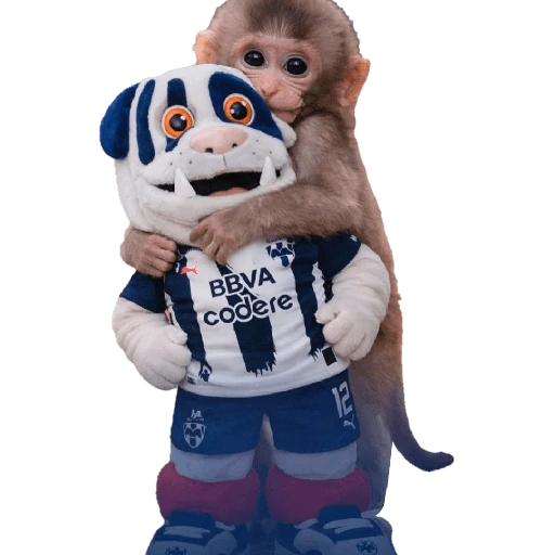 Punch Liga MX