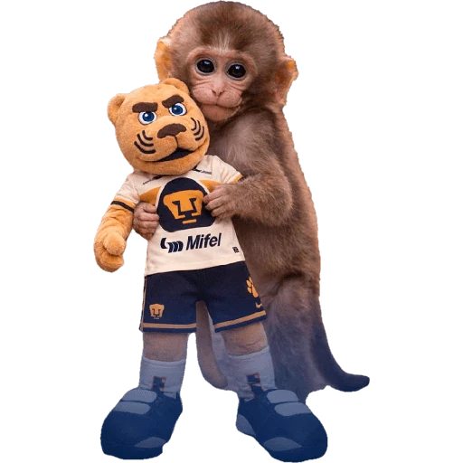 Punch Liga MX