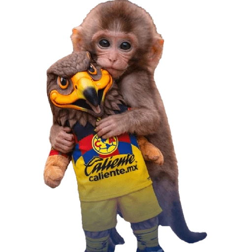 Punch Liga MX