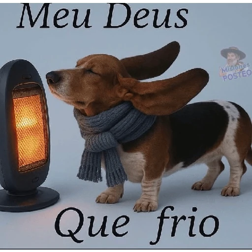 Que frio gente