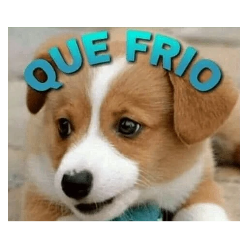 Que frio gente