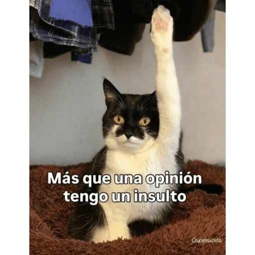 Mis pegatinas