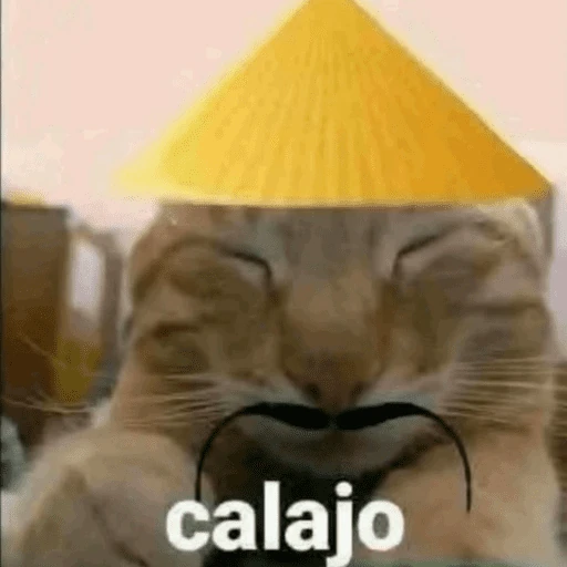 Mis pegatinas