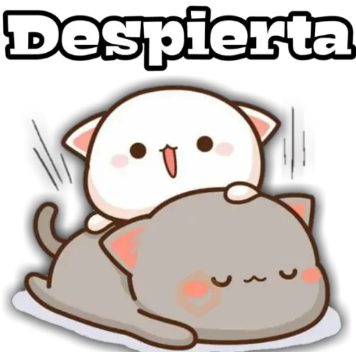 🐱Cheche Cats 1 🐱 sticker 11