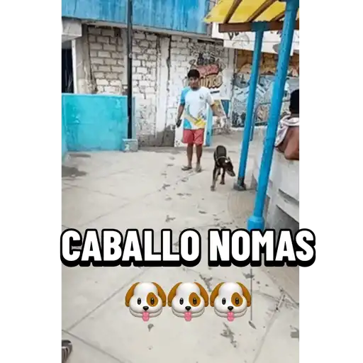 Mis pegatinas