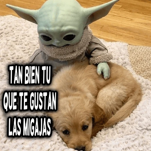 star wars baby yoda frases