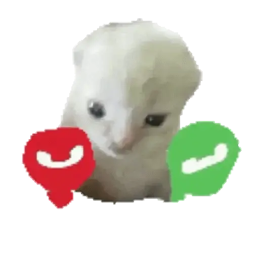 Hachimi chimichi📲Gatos michis🐱