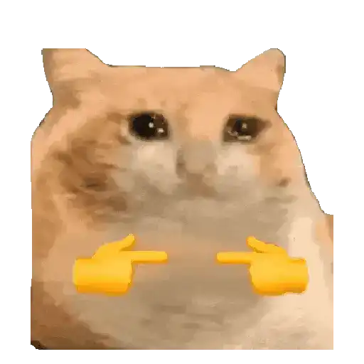 Hachimi chimichi📲Gatos michis🐱