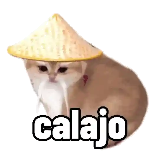 Hachimi chimichi📲Gatos michis🐱