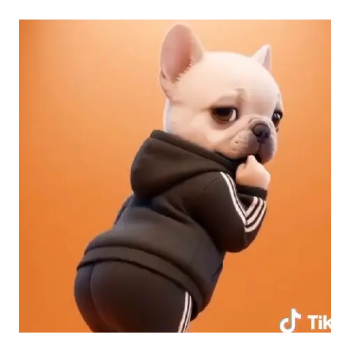 Perro Pibble Tiktok 🐶 ❤️