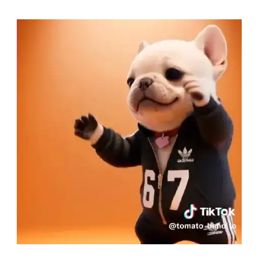 Perro Pibble Tiktok 🐶 ❤️ preview