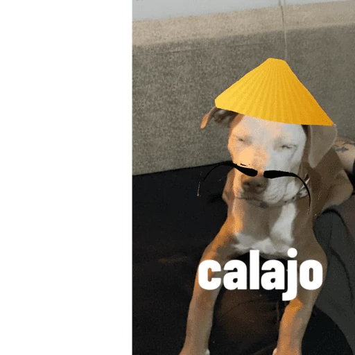 Mis pegatinas