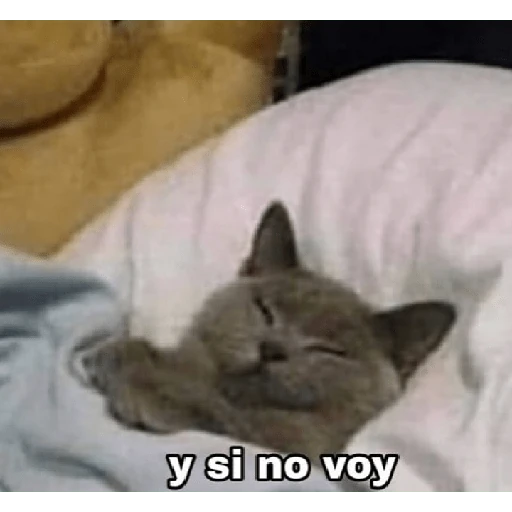 ya antojaron