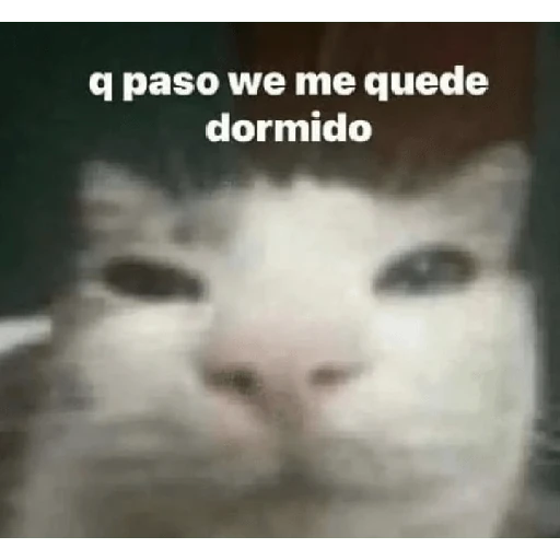 ya antojaron