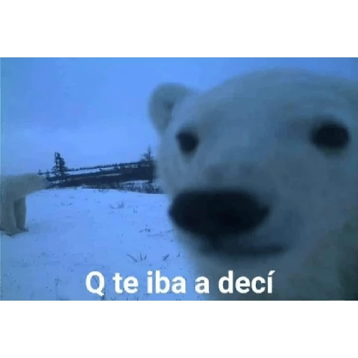 ya antojaron
