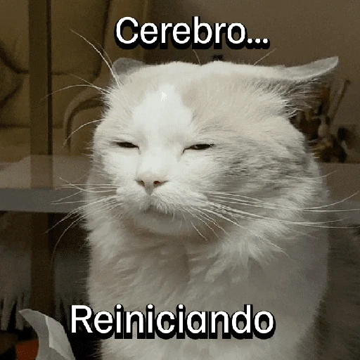 Gatitos con Estados Alterados