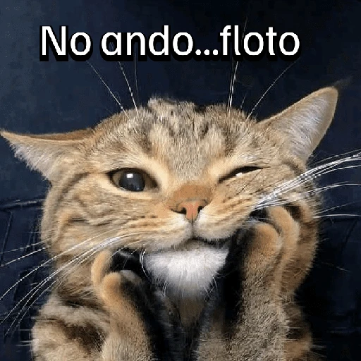 Gatitos con Estados Alterados