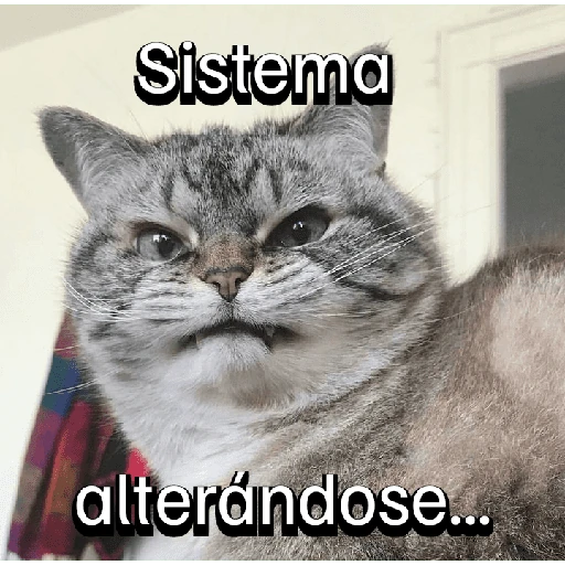 Gatitos con Estados Alterados