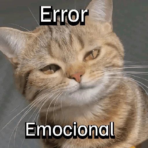 Gatitos con Estados Alterados
