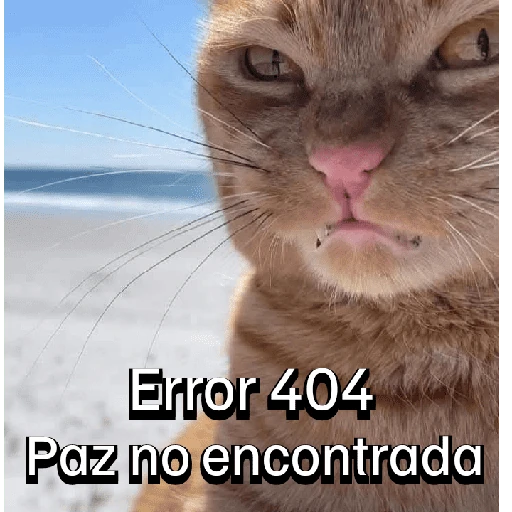 Gatitos con Estados Alterados