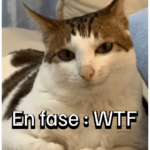 Gatitos con Estados Alterados