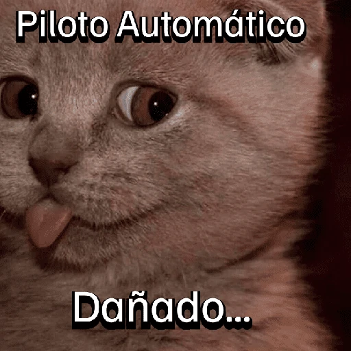 Gatitos con Estados Alterados