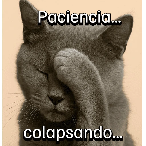 Gatitos con Estados Alterados