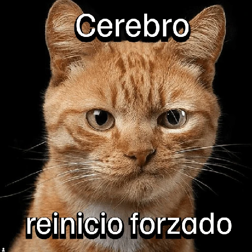Gatitos con Estados Alterados