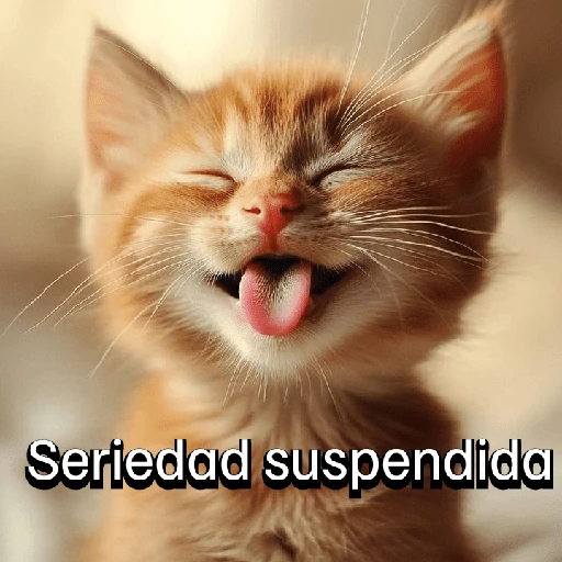 Gatitos con Estados Alterados