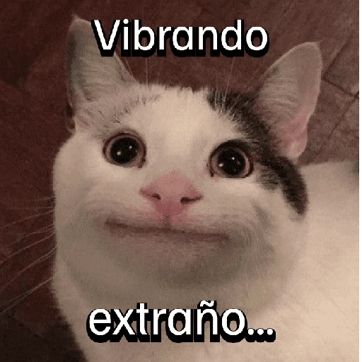 Gatitos con Estados Alterados