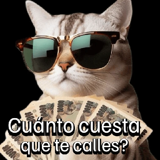 Gatitos con Estados Alterados
