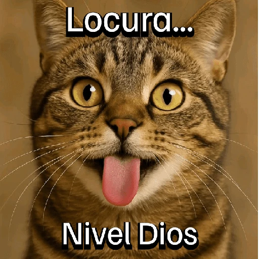 Gatitos con Estados Alterados