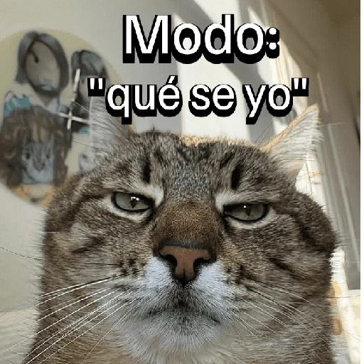 Gatitos con Estados Alterados