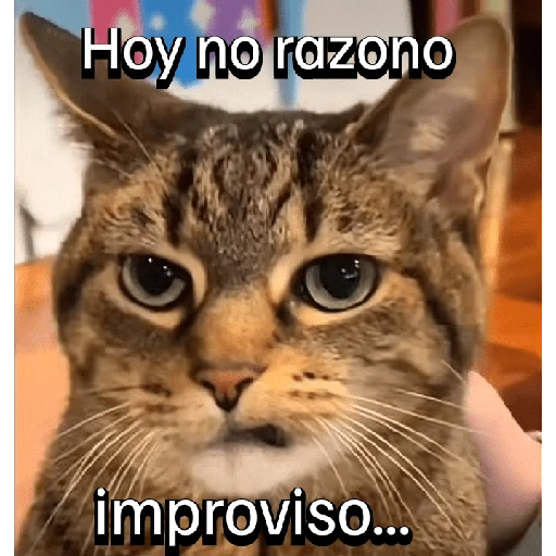 Gatitos con Estados Alterados
