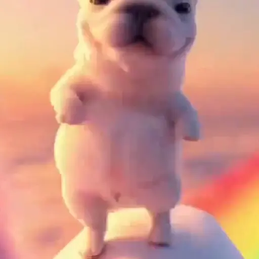 Perro Pibble 🐶