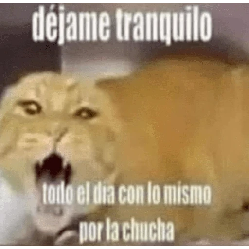 Calajo