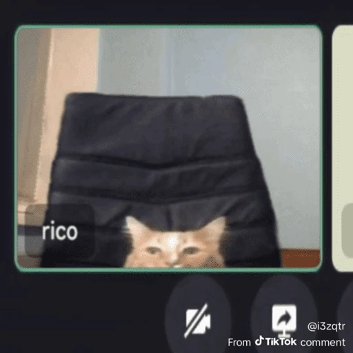 Calajo