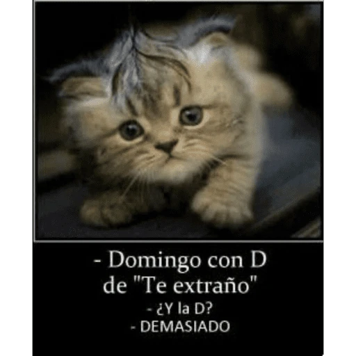Calajo