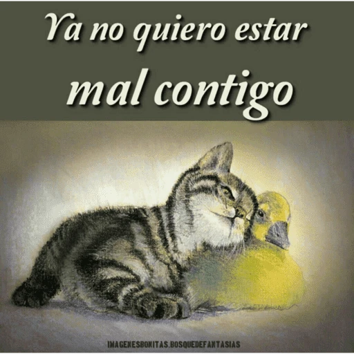 Calajo