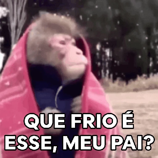 Ai que frio! 🥶