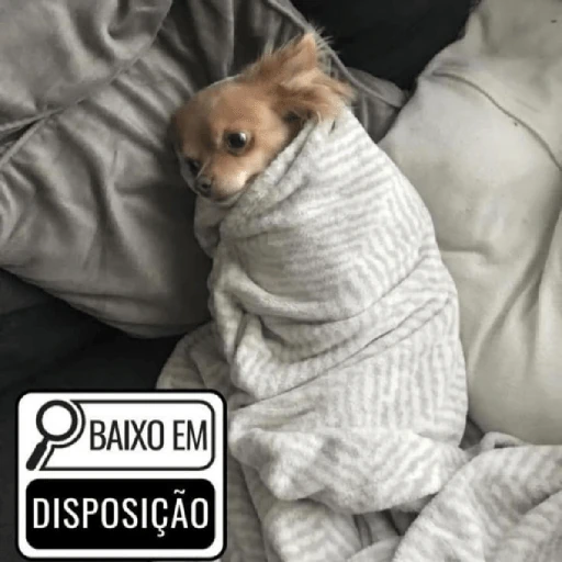 Ai que frio! 🥶
