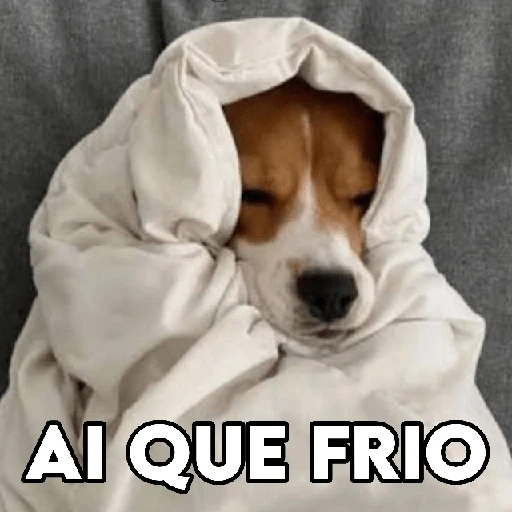 Ai que frio! 🥶