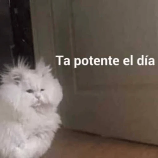 lol 2