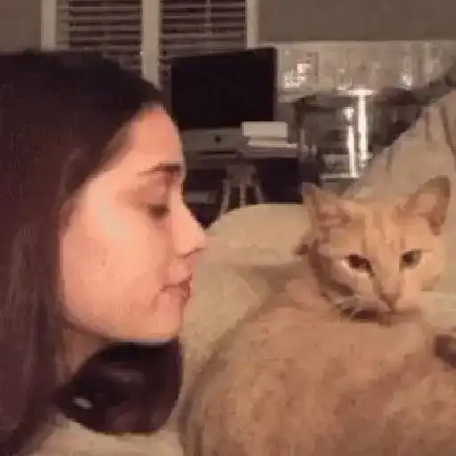 Gatos con Amor 4 😻❤️