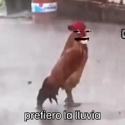 lluvia