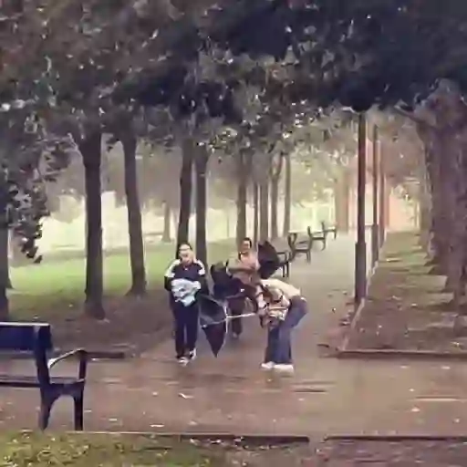 lluvia