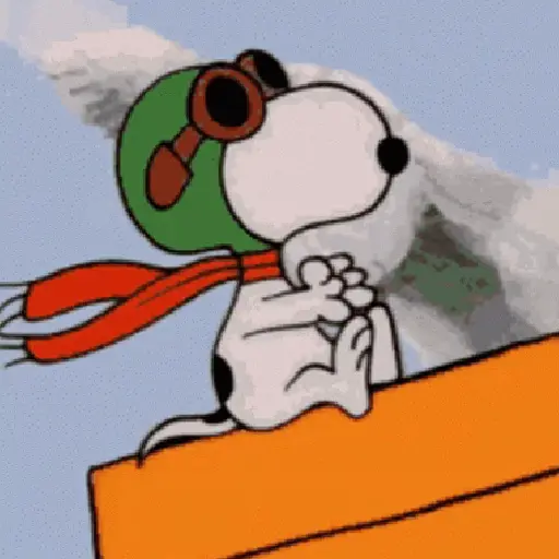 🦴🏠 SNOOPY 12 🏠🦴