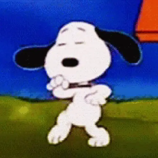 🦴🏠 SNOOPY 12 🏠🦴
